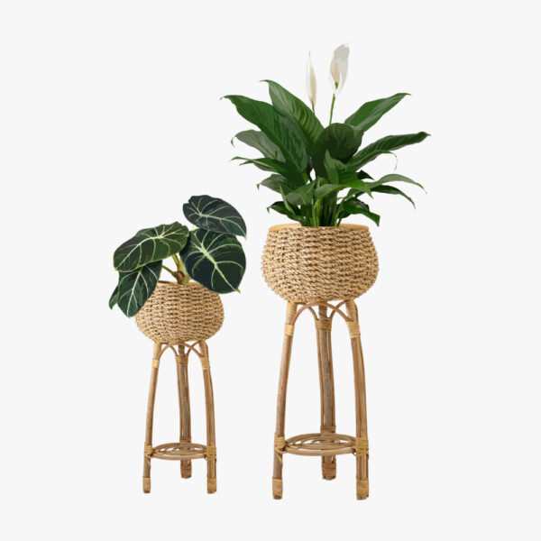 Rattan Wicker Chairs/Soft - Image 4